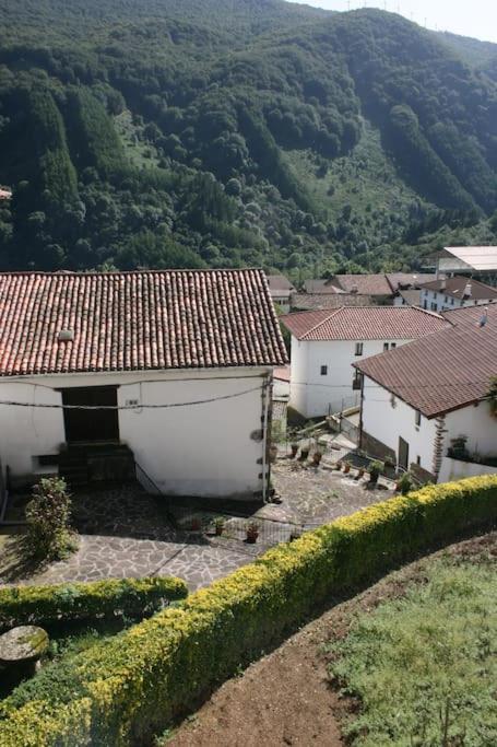 Gartzinea, Amplia Y Preciosa Vivienda Rural Apartment Ezkurra Bagian luar foto
