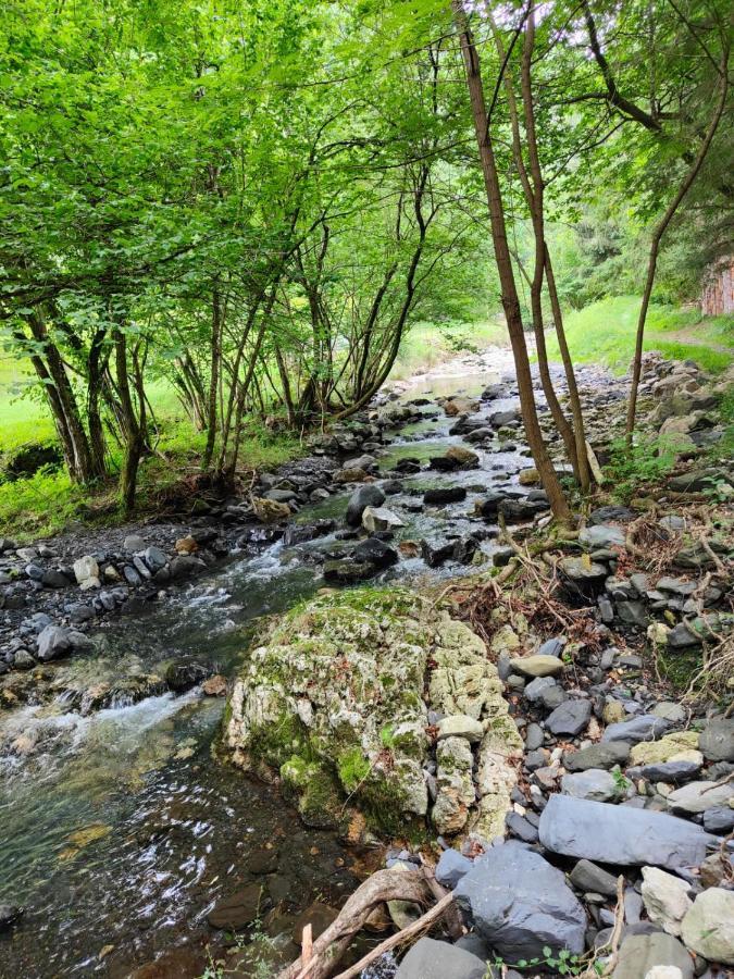 Gartzinea, Amplia Y Preciosa Vivienda Rural Apartment Ezkurra Bagian luar foto